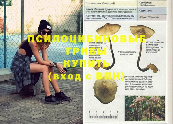 МДПВ Алзамай