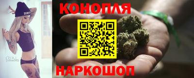 крисы Малгобек