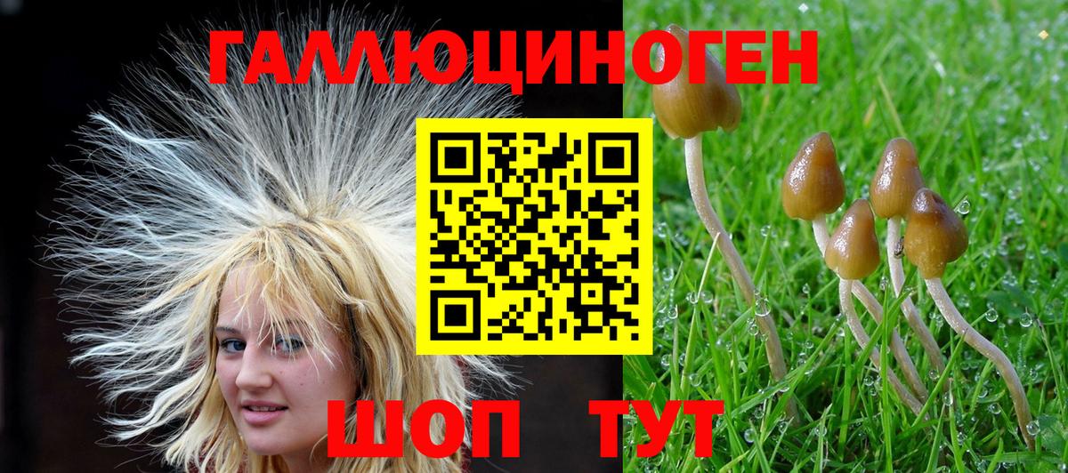 Дубна  Псилоцибиновые грибы Psilocybine cubensis  Вход с VPN 