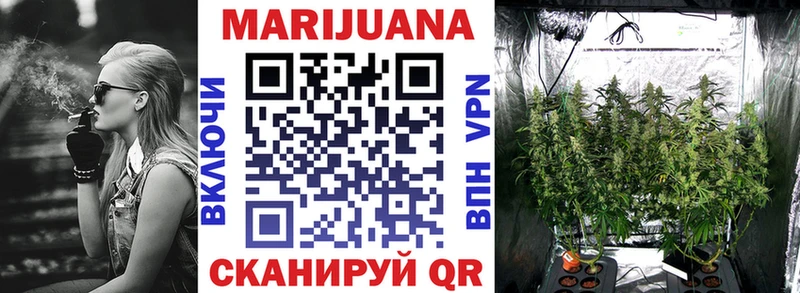 МАРИХУАНА сатива  купить наркоту  Дубна 